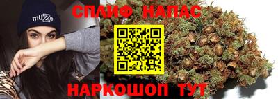 индика Кунгур