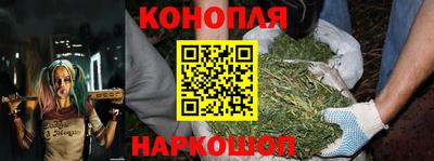 индика Кунгур