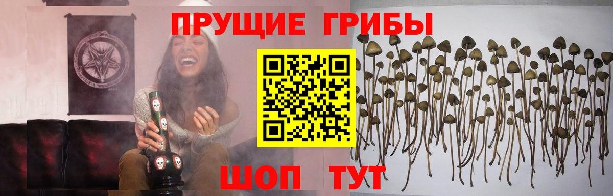 Псилоцибиновые грибы MAGIC MUSHROOMS  Вход с VPN  где купить наркоту  Железноводск 